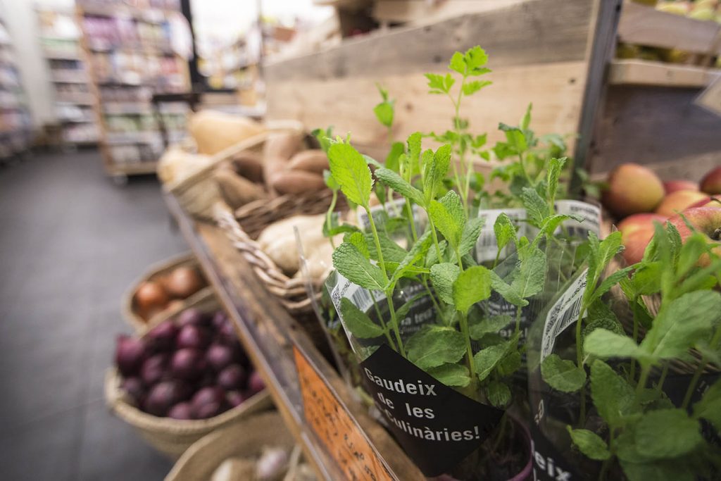 Barcelona Tribu Woki organic market