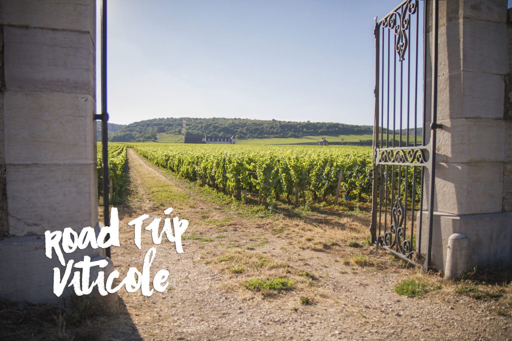 Geeksphotographers road trip bourgogne la route des vins de bourgogne