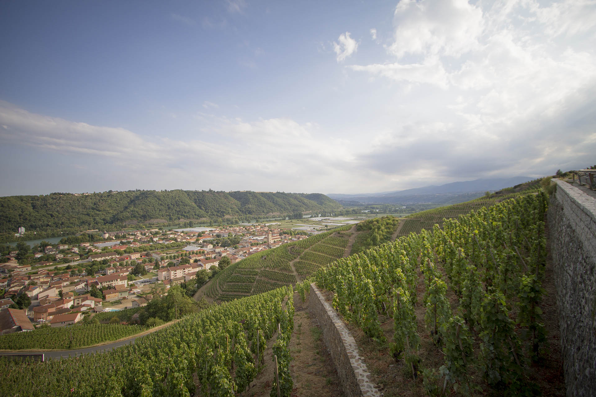 Route des vins du rhone road trip viticole