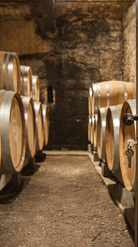 Route des vins du rhone road trip viticole